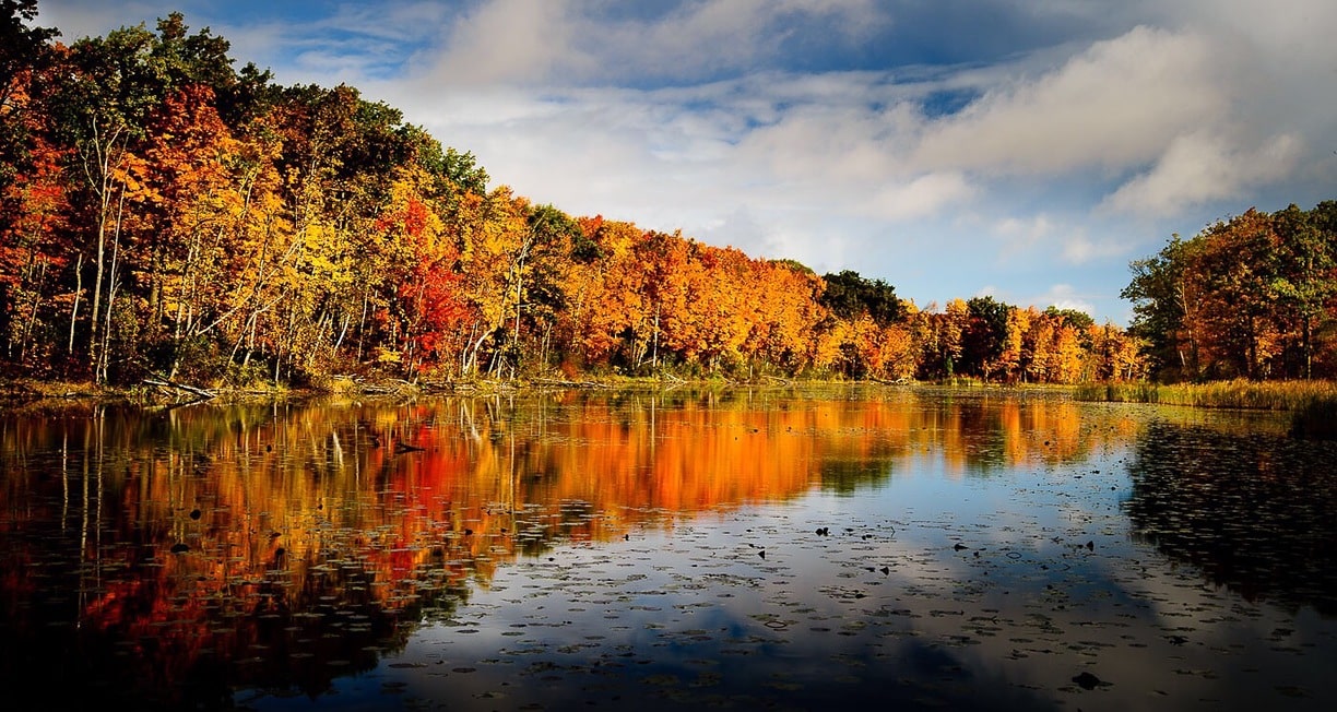 Ontario’s Conservation Areas