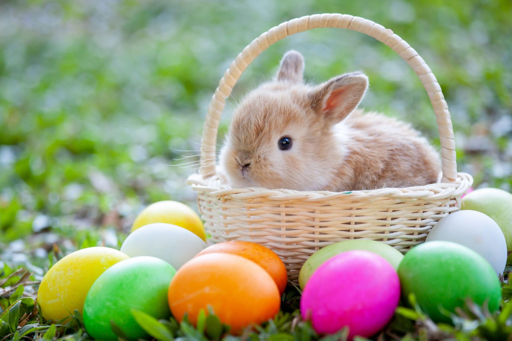 Easter in Canada 2023 Origins, Meaning, Celebrations