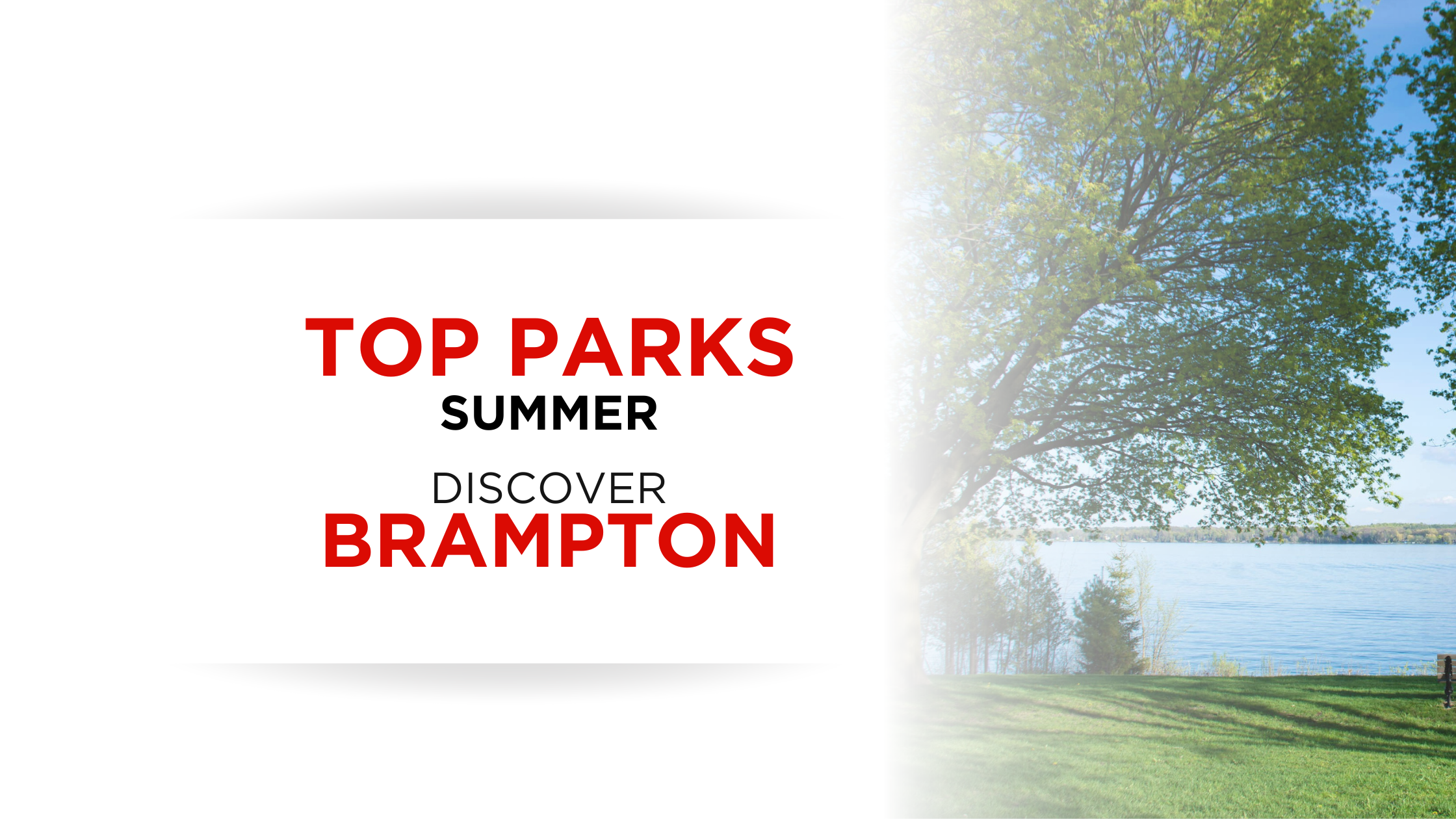 Top Parks in Brampton