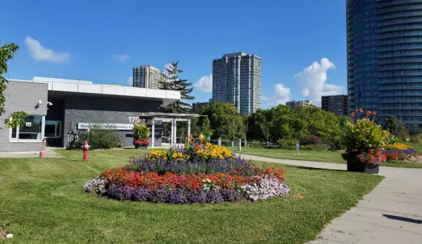 Norton Place Park in Brampton