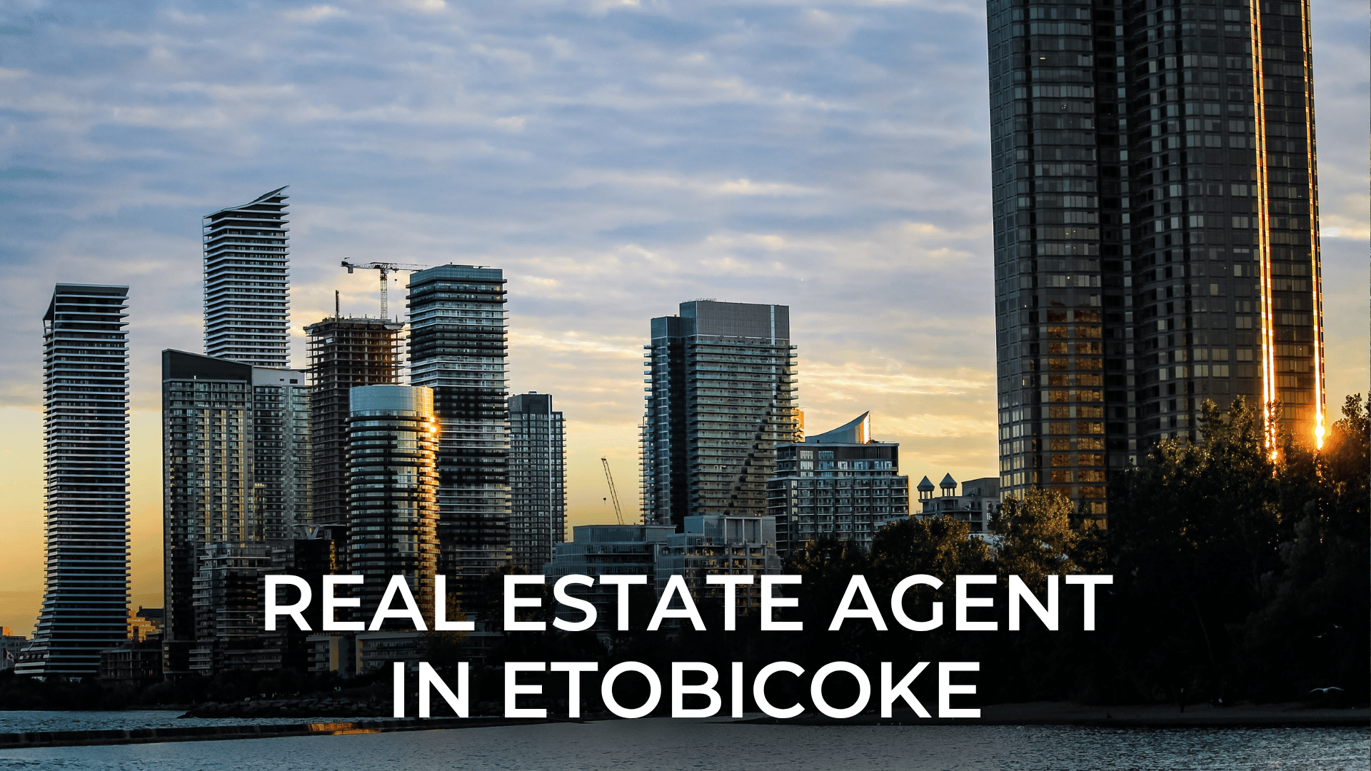 Real Estate Agent in Etobicoke