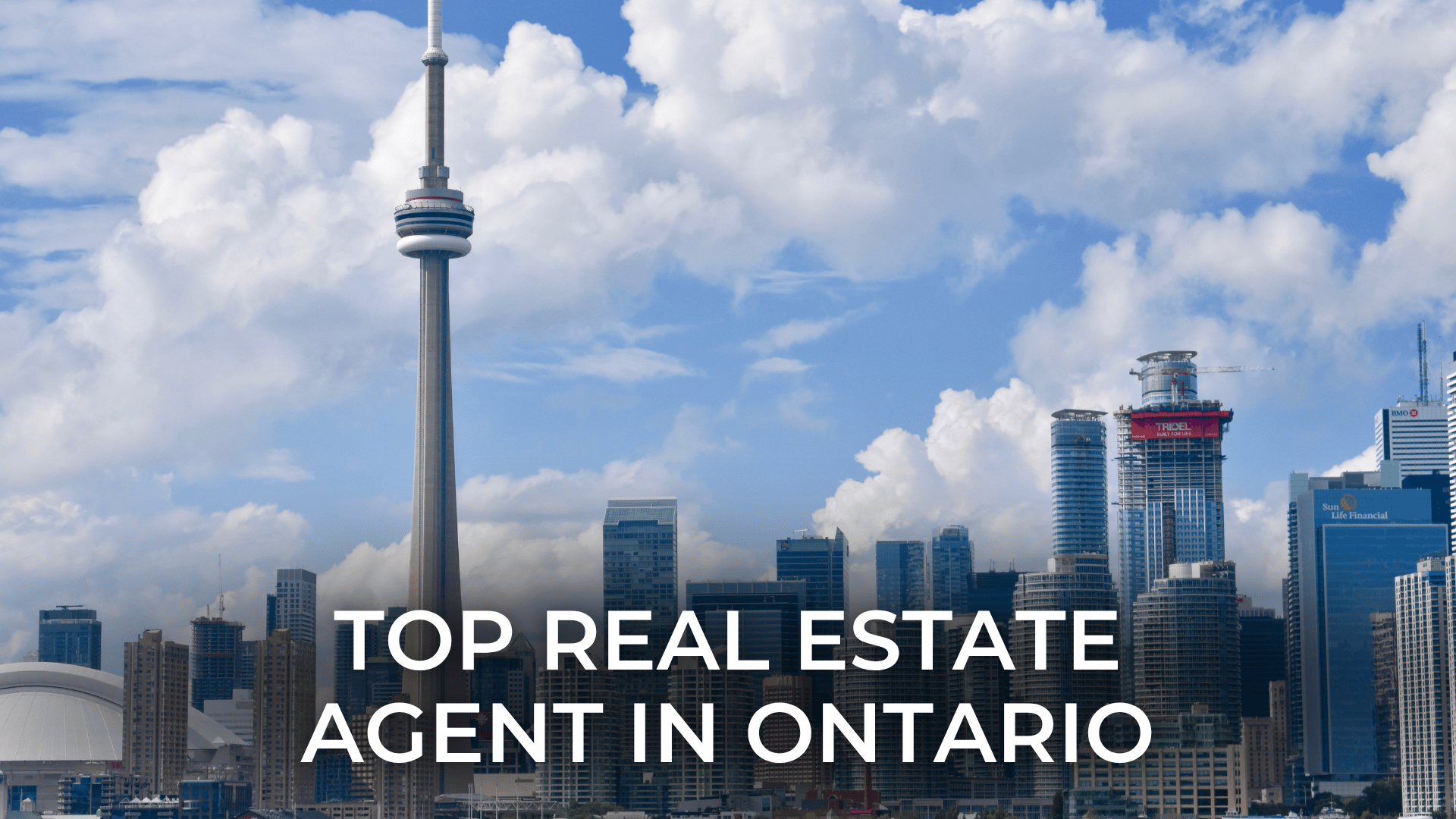 What Makes a Top Real Estate Agent in Ontario?